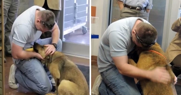 heartwarming reunion 7 months apart