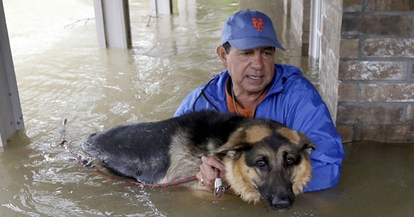 flooding rescue