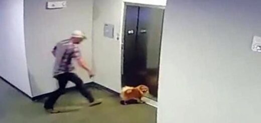 man saves dog elevator