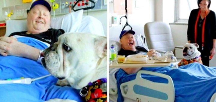 dog helps patients smile