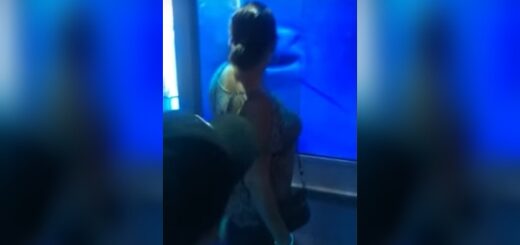 woman taps glass aquarium sharks