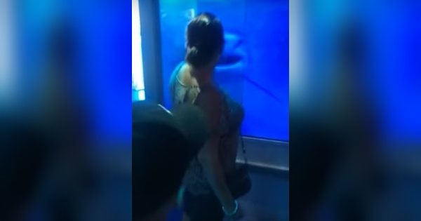 woman taps glass aquarium sharks