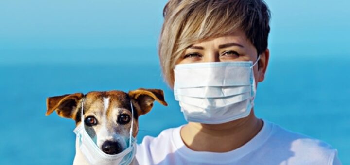 dog coronavirus covid-19