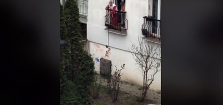 elderly woman dog balcony