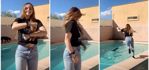 girl rescue dog pool