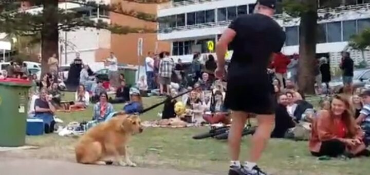 dog doesn't want leave park