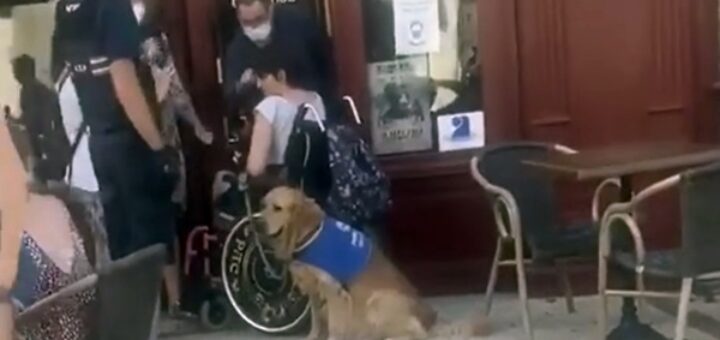 Café owners refused entry to assistance dog woman wheelchair