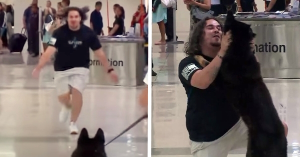 dog reunion airport