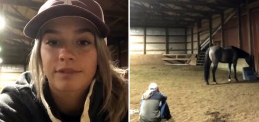 girl cries horse reaction