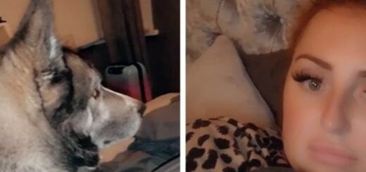 woman wakes up with stranger dog on her bed