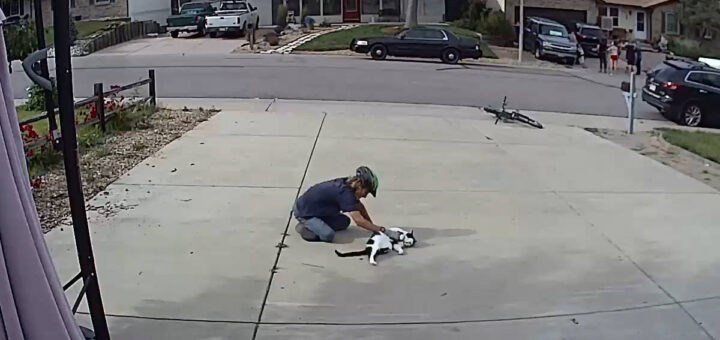 Boy Caught Paying The Sweetest Visit To Neighbor's 'Misunderstood' Cat