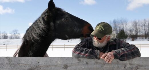 waco horse man best friend