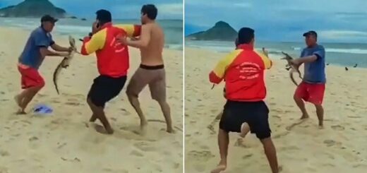 man uses caiman weapon beach brawl