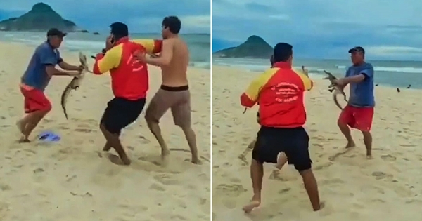 man uses caiman weapon beach brawl