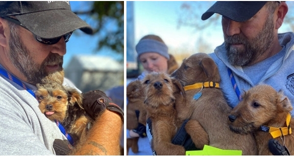 team rescues 42 dogs