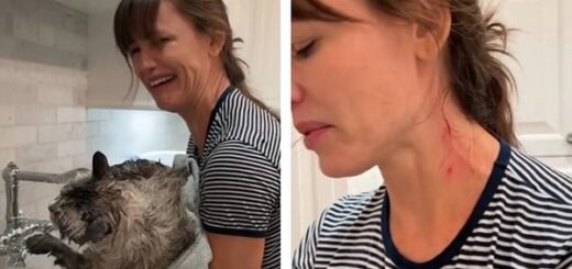 Jennifer Garner cat