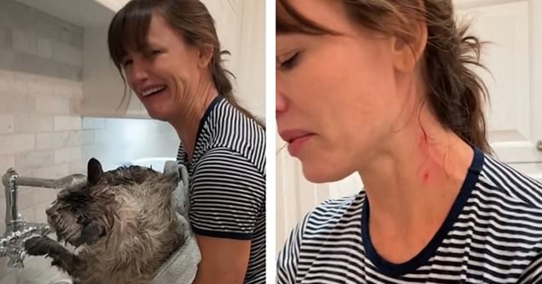 Jennifer Garner cat