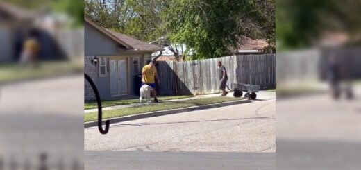 Neighbors offer wagon