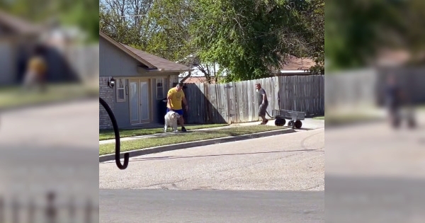 Neighbors offer wagon